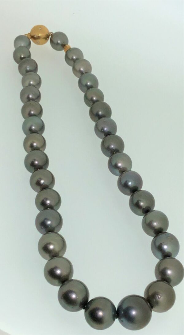S1126 Schoeffel Tahitiperlencollier (14,36-11,66 mm) – Bild 3